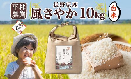 ＜先行予約＞無地熨斗 令和7年産 風さやか 白米 10kg×1袋 長野県産 米 精米 お米 ごはん ライス 甘み 農家直送 産直 信州 人気 ギフト 平林農園 熨斗 のし 名入れ不可 送料無料 長野県 大町市
