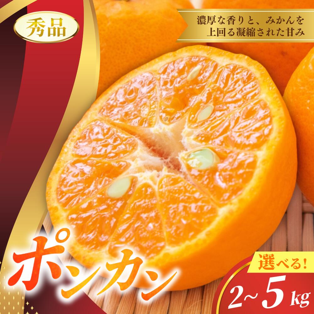 【ふるさと納税】 ポンカン 2kg 5kg ※箱込み 秀品【S~2Lのサイズおまかせ】【2025年10月中旬～2026年1月下旬までに順次発送】＜味好農園＞《 レビューキャンペーン 実施中 ! 》6000円 10000円 / 柑橘 和歌山県 有機 みかん ミカン ぽんかん