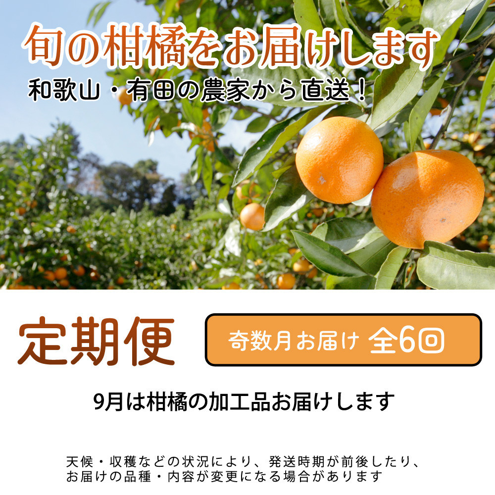厳選 柑橘定期便M（奇数月）全6回 ［IKE293］BB90202_イメージ2