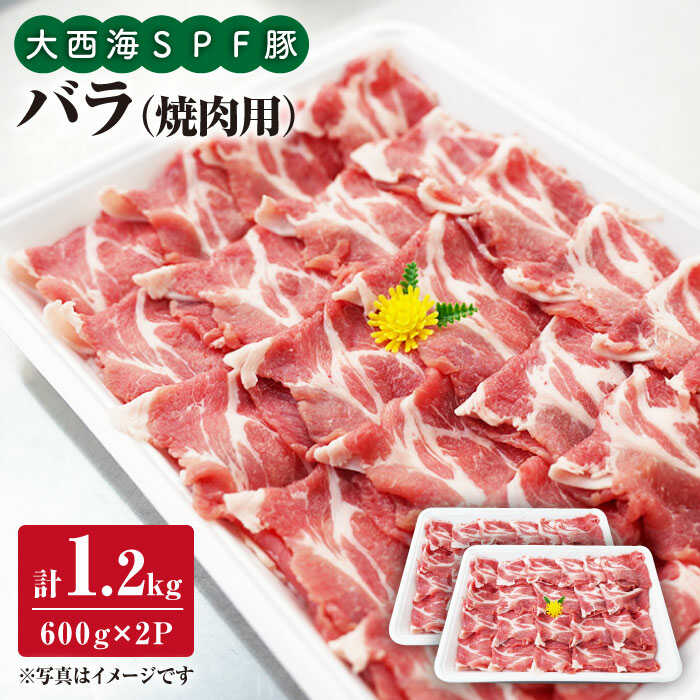 【ふるさと納税】【訳あり】【ド定番】大西海SPF豚 バラ（焼肉用）計1.2kg（600g×2パック）＜大西海ファーム＞ [CEK031]