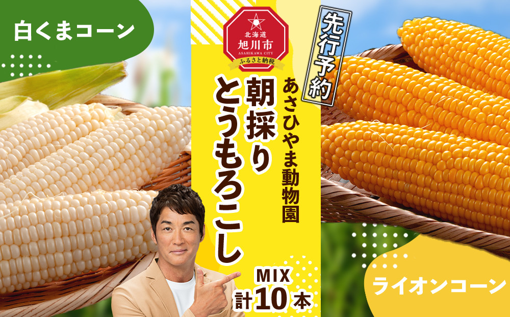 【26年発送先行予約】朝採りとうもろこしMIX10本 4kg あさひやま動物園 白くまコーンとライオンコーンのミックス（2026年8月中旬から発送開始予定）【 とうもろこし 人気 北海道 糖度 野菜 白いとうもろこし 白いスイートコーン 産地直送 ホワイトレディ ゴールドラッシュ コーン 玉蜀黍 旬 お取り寄せ 旭川市 北海道 】_02157