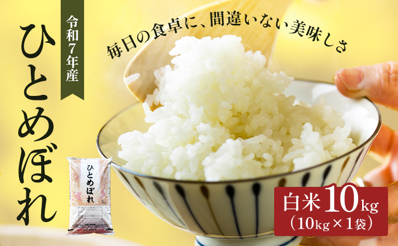 令和7年産 ひとめぼれ 10kg 宮城県大河原町産 米 お米 精米 白米 こめ コメ 令和7年 宮城県産