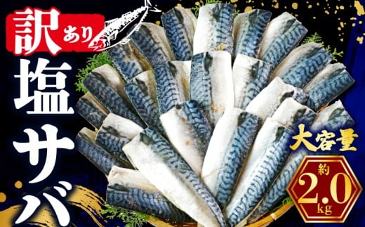 訳あり 塩さば フィレ 約2.0kg 鯖 さば 塩サバ 塩鯖 訳アリ 訳有 規格外 不揃い 切身 切り身 フィーレ 塩焼き 鯖サンド 鯖バーガー 大容量 小分け 人気 冷凍 冷凍食品 魚 魚介 魚貝 魚介類 おかず つまみ 酒 お酒 さけ 弁当 惣菜 食品 冷凍食品 グルメ 贈答 贈物 贈り物 長期保存 ギフト プレゼント ふるさと納税 ふるさと納税鯖 お取り寄せ 送料無料 千葉県 銚子市 辻野