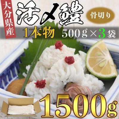 ふるさと納税 杵築市 大分県産活じめ鱧(はも)1本物 骨切り切身 たっぷり 1500g