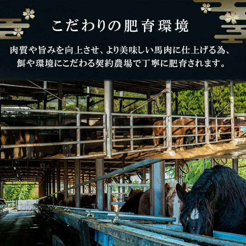 【阿蘇牧場】 国産 日本産 熊本肥育 熊本と畜 馬刺し 阿蘇 熊本 小国 赤身 上赤身 小分け 馬肉 500g 馬刺し醤油 専用たれ付 真空パック