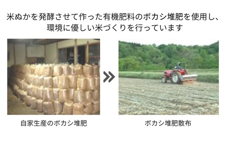 【令和7年産】特別栽培米 つや姫 4kg（2kg×2袋） 山形県 鶴岡市 伊藤農園（伊藤嘉吉）