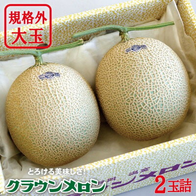 【ふるさと納税】クラウンメロン(規格外大玉) 2玉詰【配送不可地域：離島・北海道・沖縄県】【1486583】