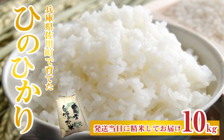 【先行予約】兵庫県佐用町で育てたひのひかり 10g【2025年10月中旬頃から順次発送予定】兵庫県産 ひのひかり 減農薬米 精米 お米 特Aランク 選べる