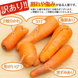 y161 ≪訳あり・数量限定≫湧水町産有機にんじん(約10kg) 国産 九州産 鹿児島産 有機野菜 有機栽培 にんじん 人参 ニンジン キャロットジュース 野菜 やさい おかず 旬 わけあり 訳アリ 