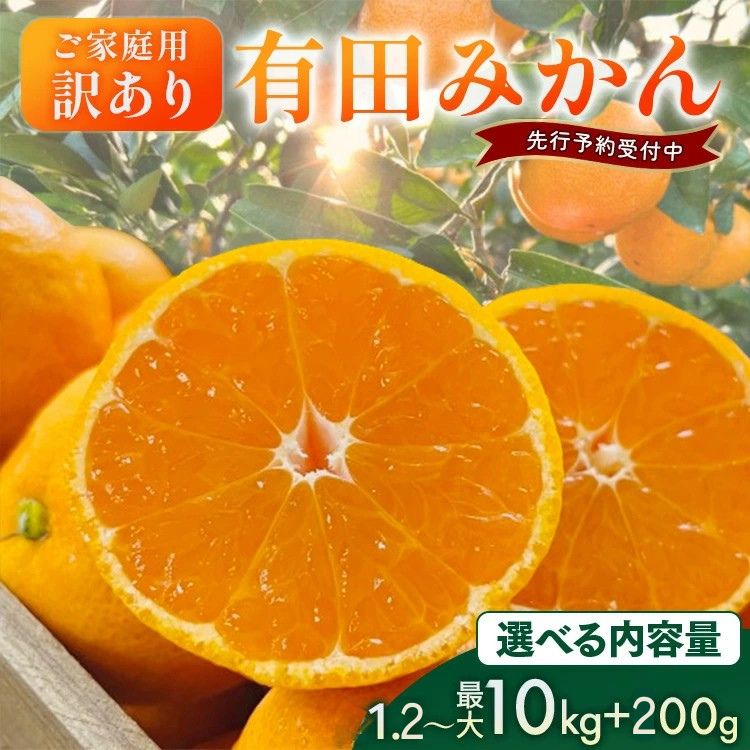 【ふるさと納税】【先行予約】【数量限定】濃厚有田みかん（ご家庭用）選べる内容量 │ みかん 訳あり 柑橘 フルーツ 果物 選べる ミカン 1.2kg 3.1kg 4.1kg 5.7kg 10.2kg ※2025年10月上旬～2026年1月下旬頃発送 ※北海道・沖縄・離島への配送不可