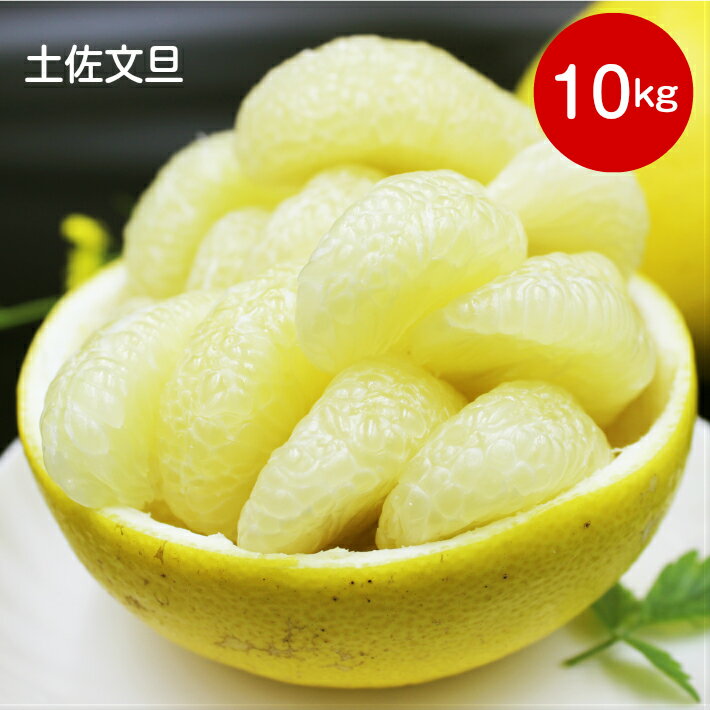 【ふるさと納税】＜土佐文旦（家庭用）10kg 【数量限定】＞高知県 佐川町 特産 柑橘 先行予約受付中【常温】サイズ：L～4L混合　＜2026年2月頃～3月頃発送予定＞