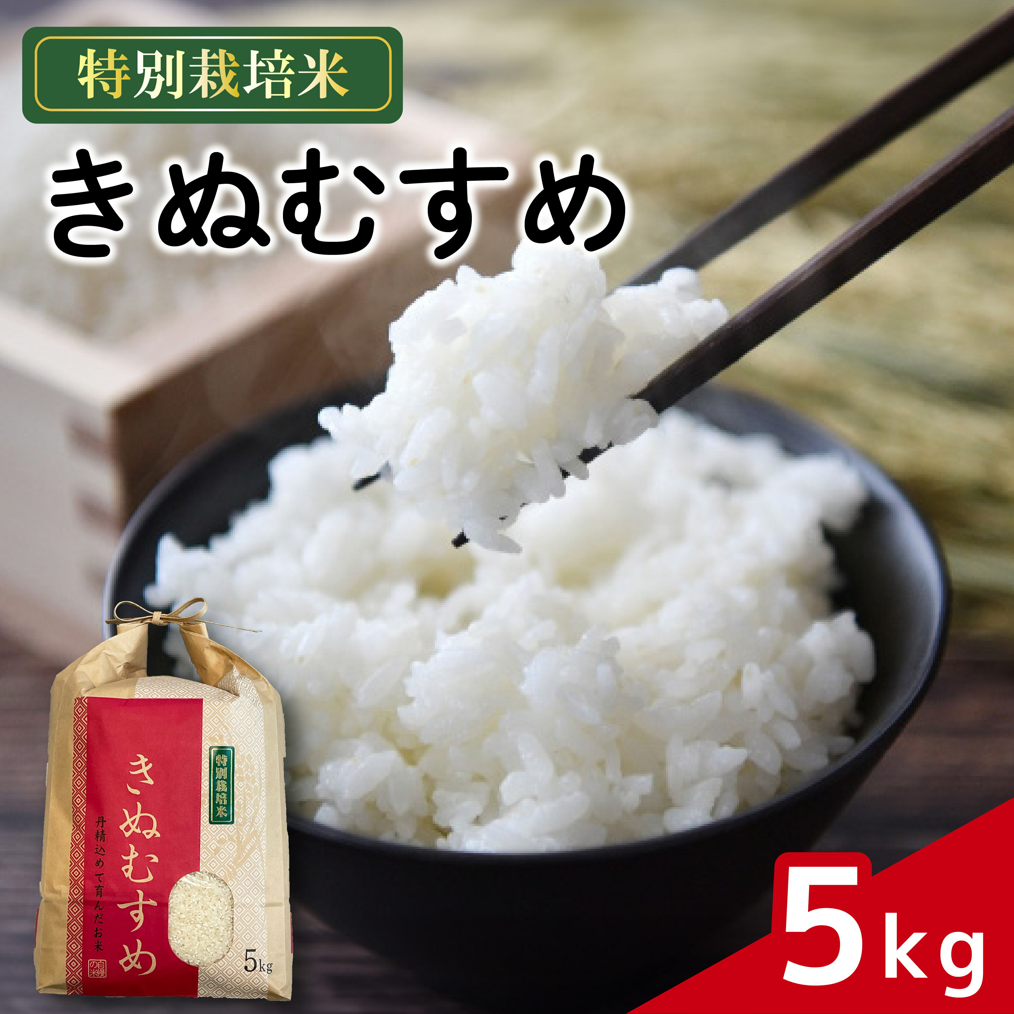 【ふるさと納税】 米 きぬむすめ 5kg 農家直送 特別栽培米 精米 令和7年度産 お米 贈り物 人気米 ご飯 白米 コメ 贈答 静岡県 藤枝市