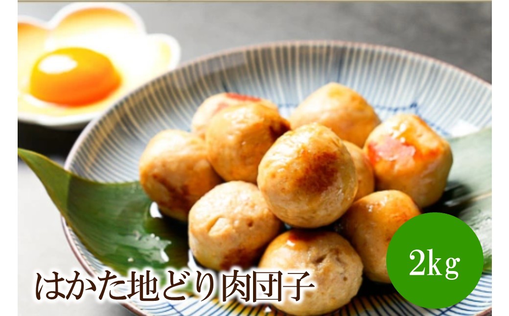 
                  はかた地どり肉団子2kg(1kgx2)【091-0009】
                