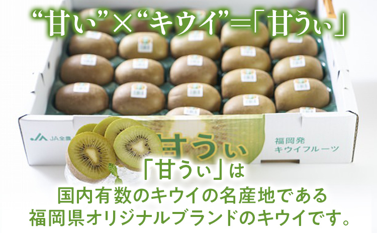 期間限定 福岡県産ブランドキウイ「甘うぃ」約3kg（24-33玉）美容 健康 ビタミンC キウイフルーツ 南国フルーツ CO015