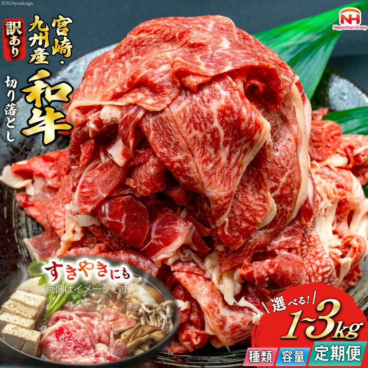 【ふるさと納税】 kg・定期便が選べる 訳あり 和牛 切り落とし 1kg～3kg 小分け 1パック500g 九州産 宮崎県産 [日本ハムマーケティング 宮崎県 日向市 452060990] 牛肉 肉 牛 冷凍 すき焼き しゃぶしゃぶ 焼肉 定期便 3回
