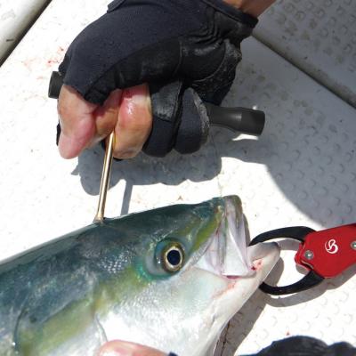 ふるさと納税 三条市 [ベルモント] FISH PICK 一撃 ブラック フィッシュピック フィッシング【012S088】 |  | 03