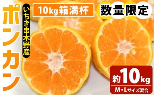 ＜先行予約受付中！2025年12月上旬頃より順次発送予定！＞池之上果樹園の旬のポンカン(約10kg・M/Lサイズ混合) 国産 鹿児島県産 果物 ぽんかん 椪柑 みかん ミカン 蜜柑 フルーツ 果実 冬季 常温 Mサイズ Lサイズ 箱 箱詰め バラ詰め【池之上果樹園】【A-2016H】