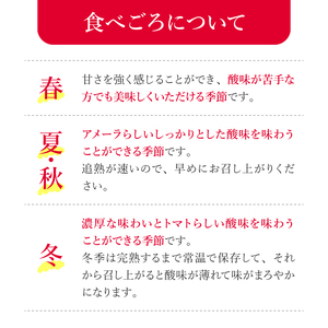 ミニトマト アメーラルビンズ ゴールド 5P ミニトマト