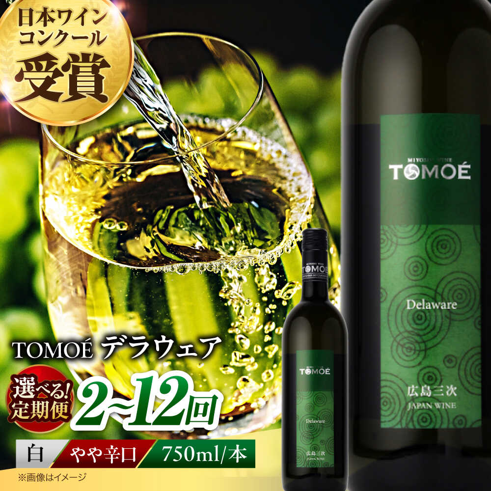 【ふるさと納税】【選べる定期便回数】TOMOE デラウェア 白ワイン やや辛口 750ml 1本 白 ワイン 受賞 ギフト 国産 おすすめ 飲み比べ ワインセット 日本ワイン 国産 贈答 取り寄せ 送料無料 広島 定期便 18000円 から 記念日 お祝い 三次市 / 広島三次ワイナリー[APAZ049]