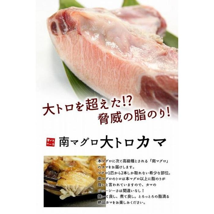 【定期便/隔月/計3回】南マグロ大トロカマ1kg（計3kg） | 加熱用 選べる 回数 定期便 冷凍 塩焼き 煮付け まぐろ 鮪 マグロ 焼き魚 高級種 希少部位 | DG016-1kg-tk3