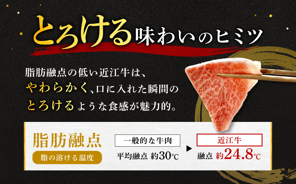 近江牛　すき焼き・しゃぶしゃぶ用　もも肉　500ｇ　２人～３人前　B-B11　安田牧場