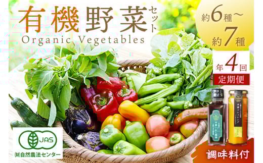 【年4回定期便】＜てんとうむしばたけ＞オーガニック野菜&調味料セット　有機野菜6～7種(2人用)＆調味料2種　定期便 調味料 ドレッシング 農家直送 京都直送 野菜 有機野菜 オーガニック セット 詰め合わせ 野菜セット 国産 京都産 ふるさと納税 野菜　BR00044