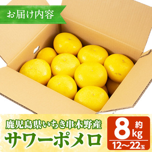 ＜期間限定＞磯部農園のサワーポメロ8kg箱バラ詰め（12玉～22玉）【A-1846H】