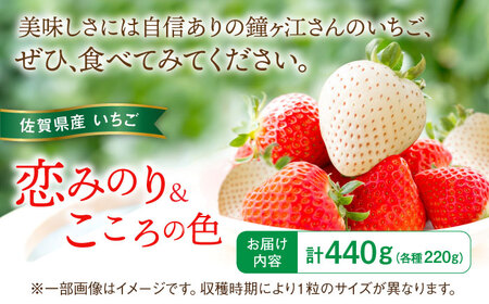 【先行予約】恋みのり・こころの色 220g×2パック（各1パック） / 佐賀県 / 鐘ヶ江農園[41ASBK007]