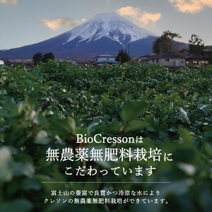 富士吉田市のクレソンペーストセット 野菜