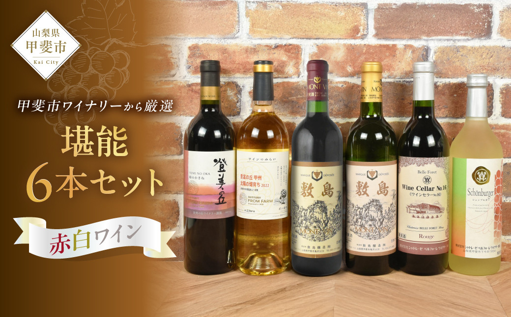 
            甲斐市ワインワイナリー堪能６本セット 山梨県 甲斐市 AD-252
          