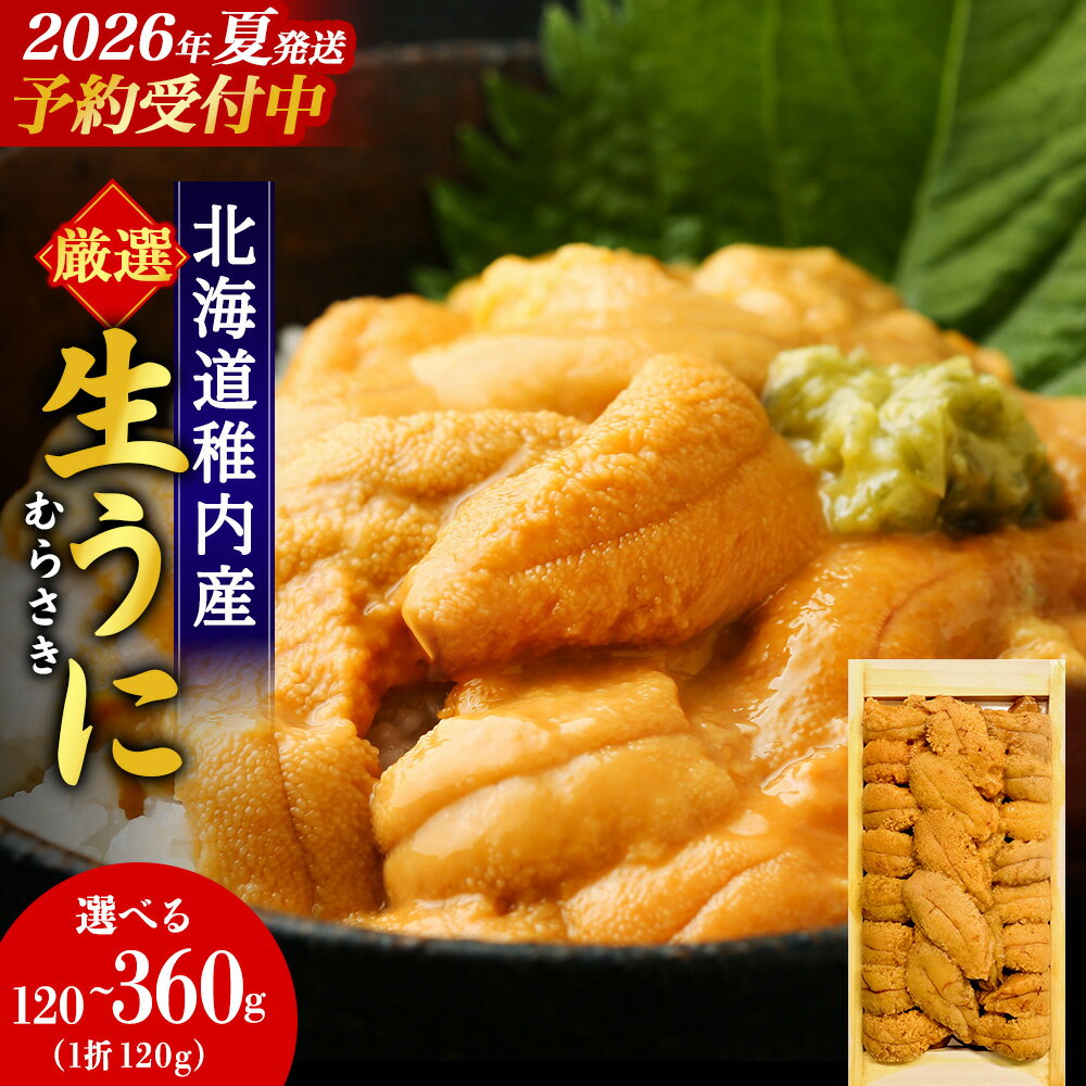 【ふるさと納税】【2026年発送 先行予約】【厳選PREMIUM】美味しいウニは昆布の名産地にあり!生むらさきうに 選べる1〜3パック 1パック120gムラサキウニ うに むらさきうに 生うに 海鮮 海産物 北海道 稚内 【配送不可地域：離島・沖縄】