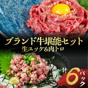 【ふるさと納税】 和牛ユッケ＆肉トロ 生食牛肉セット（源氏和牛ユッケ / 段戸山高原牛肉トロ）タレ付 冷凍 生食認定工場 安全 鮮度 牛肉 お肉 小分け 冷凍 黒毛和牛 生食用 希少 セット 詰め合わせ 簡単調理 おつまみ つまみ 愛知県 豊橋市10000円 1万円