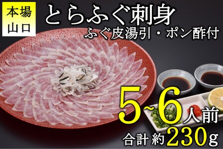 【配送日指定可】 とらふぐ刺身 5-6人前 冷凍  ふぐ皮湯引き てっさ ふぐ刺し トラフグ フグ 最高級とらふぐ 父の日 母の日 イベント お中元 お歳暮 贈答用 ギフト 熨斗 のし 大人気 山口県 本場トラフグ 職人 板前 とらふぐ専門店  (10101)