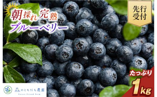 【先行予約】今治産ブルーベリー「媛ベリー」1kg 2026年7月下旬～8月下旬発送予定（森のともだち農園玉川町） 【LC00880】
