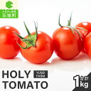 【ふるさと納税】 ミニトマト トマト 1kg 糖度 8～12 敬老の日 ギフト 贈り物 完熟 サラダ 野菜 yuseifarm 株式会社佑成産業 三重県 玉城町