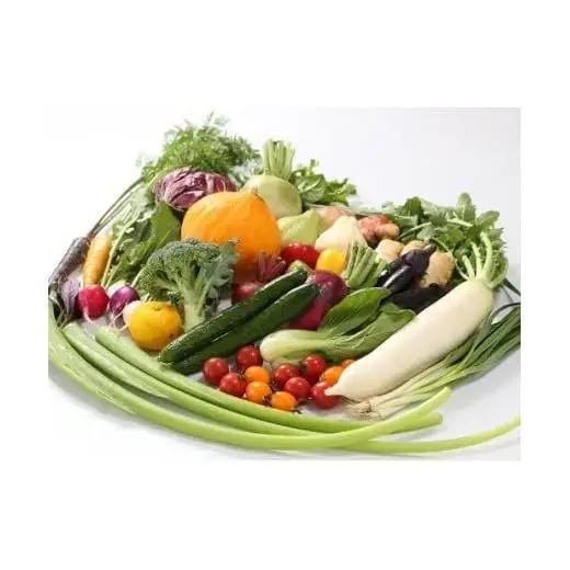 【 野菜定期便 】 野菜定期便 4回 10～14種 セット