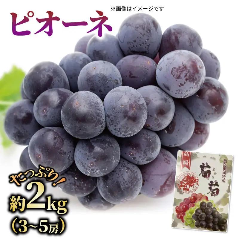 ぶどう ピオーネ 2kg 3～5房 ぶどう ピオーネ