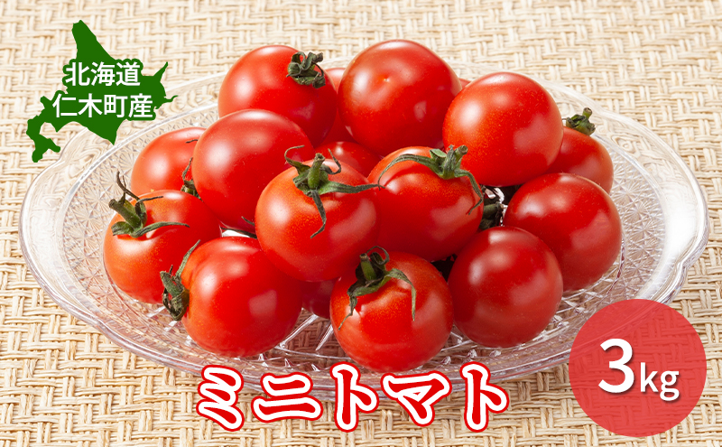 【先行受付】北海道 仁木町産 ミニトマト 3kg　小林農園 [ トマト 北海道産 野菜 新鮮 ]
