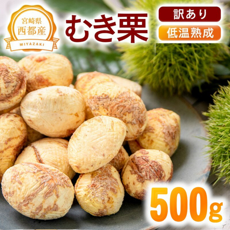 【ふるさと納税】＜訳あり＞低温熟成「むき栗」500g 国産 宮崎県 西都市 くり＜1.1-19＞