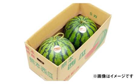 熊本県産 大玉スイカ 1玉 （2L以上・約7kg） 【2025年7月上旬迄発送予定】 大玉西瓜 大玉すいか 西瓜 すいか スイカ 果物 果実 フルーツ 大玉 九州 熊本県 熊本市 常温