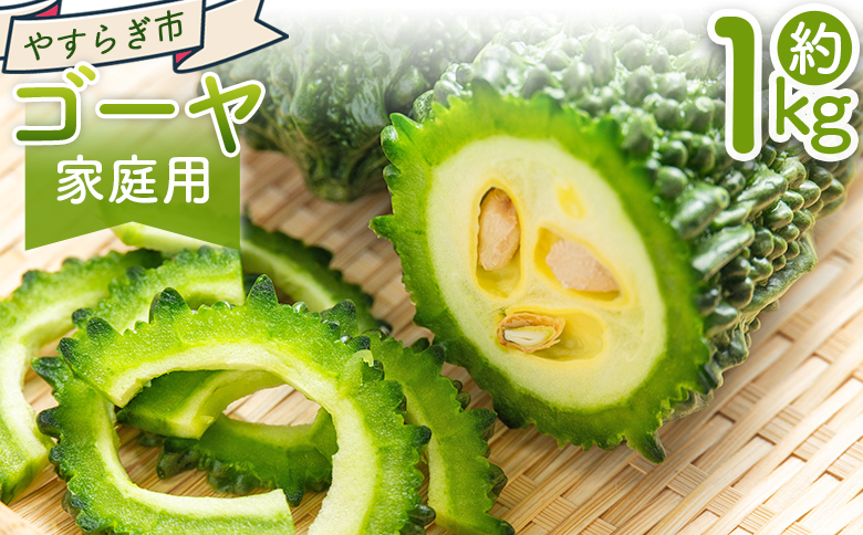 【2026年10月以降発送】ゴーヤ 1kg 家庭用 - 国産 野菜 青果 ごうや 苦瓜 天ぷら 炒め物 ご家庭用 不揃い 傷 やすらぎ市 高知県 香南市 冷蔵 yr-0073