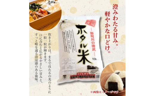 【9カ月定期便】ほたる米 5kg（茨城県共通返礼品・城里町産） / 米 こめ コメ お米 おこめ ほたる米 白米 精米 ごはん ご飯 令和7年産 5kg 定期便 茨城県 城里町 利根町