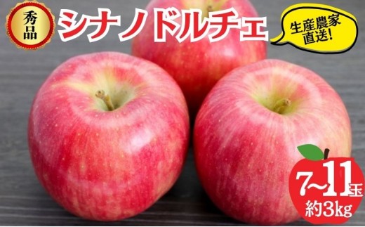 
            シナノドルチェ 秀品 約3kg 7～11玉 りんご 果物 信州 長野
          