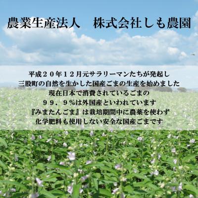 ふるさと納税 三股町 みまたんごま 4種セット【A-1401】 |  | 03