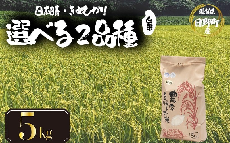 
            【 令和7年産 新米 5kg 】 選べる 品種 日本晴 きぬひかり 米 白米 2025年産 にほんばれ キヌヒカリ 国産 滋賀県 日野町 農家直送 お米 精米 おこめ こめ 産地直送 ふるさと納税
          