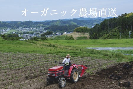 【毎月定期便】【フードロス対応・規格外野菜利用】有機野菜　シェフLセット　オーガニック野菜全6回 6870