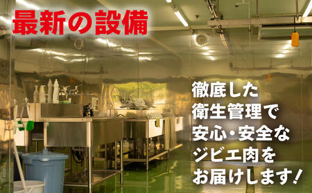 【伊豆産イノシシ肉】イノシシ1頭丸焼きセット猪肉 イノシシ肉 ジビエ 高タンパク 高たんぱく 低カロリー 低脂肪 肉 お肉 山の幸