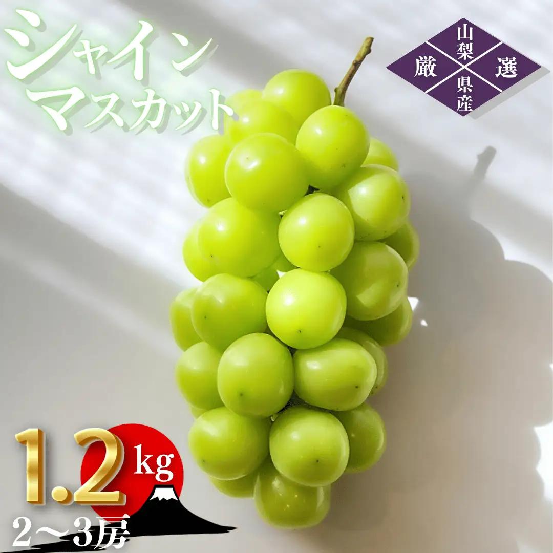 【2026年発送★先行予約】笛吹市産　厳選シャインマスカット［1.2kg］（2～3房）フルーツ大国！山梨県笛吹市より産地直送 209-003-26y OUTTA REACH JAPAN