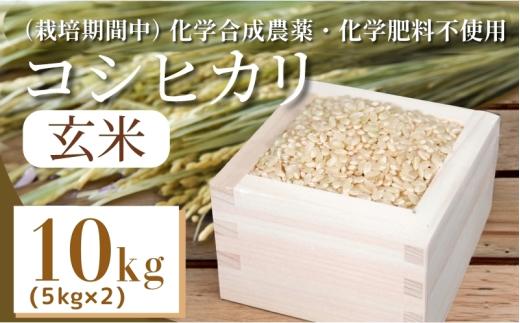 【令和7年産】玄米 10kg コシヒカリ 令和7年産 米 こめ ご飯 ごはん おにぎり 卵かけご飯 白米 栽培期間中 化学合成農薬不使用 食品 備蓄 備蓄米 保存 防災 ギフト 贈答 プレゼント お取り寄せ グルメ 送料無料 徳島県