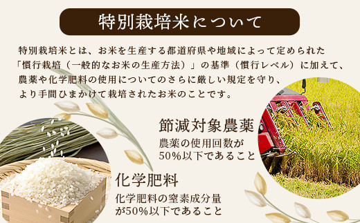 特別栽培米「ヒノヒカリ」10kg